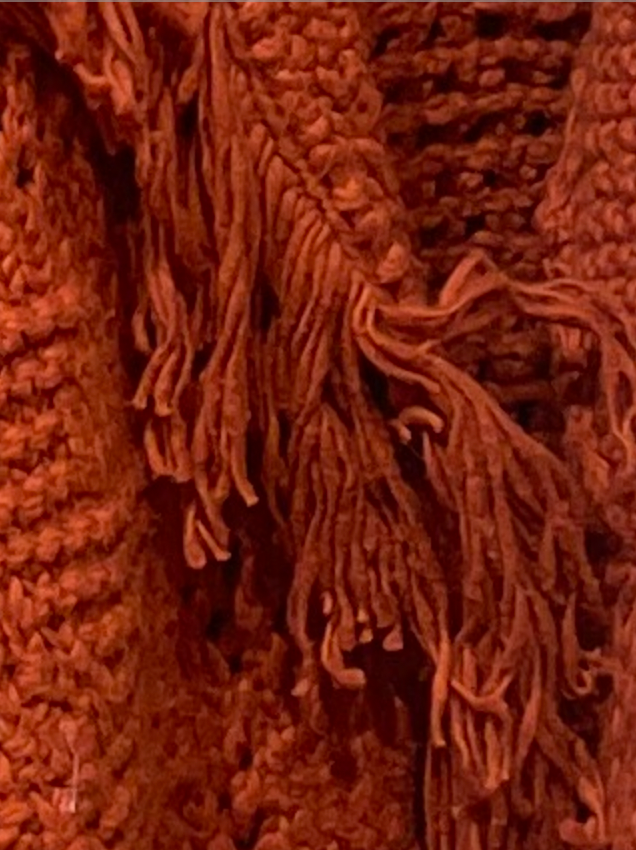 AUTUMN CASHMERE fringed cashmere jacket