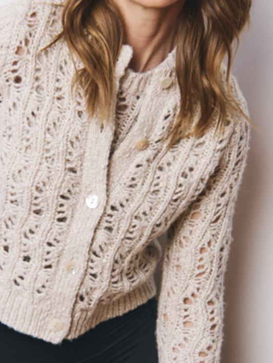 AUTUMN CASHMERE stitchery cardigan
