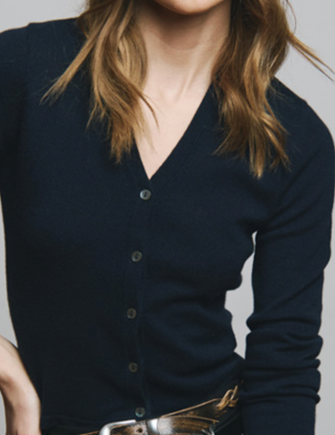 AUTUMN CASHMERE fitted high v cardigan