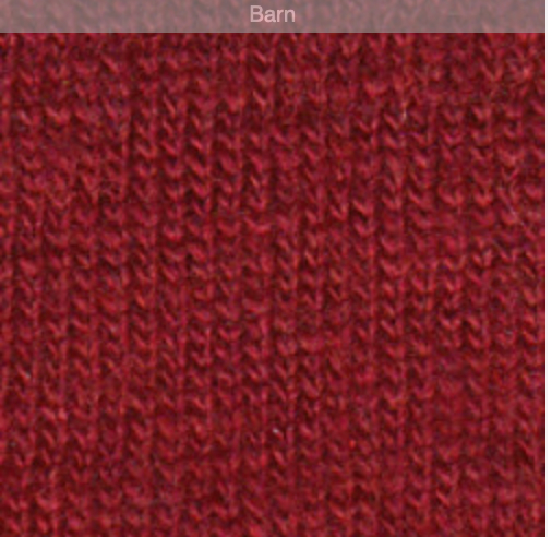AUTUMN CASHMERE raw edge crew neck